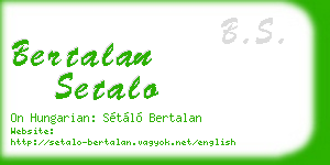 bertalan setalo business card
